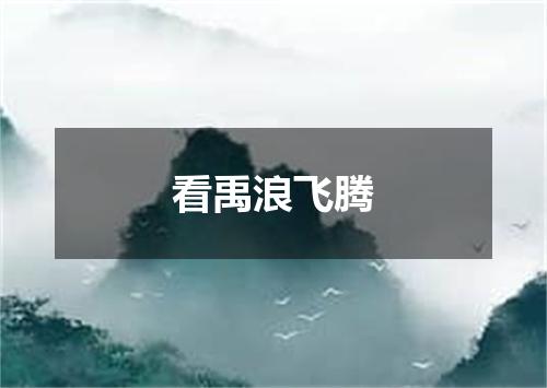 看禹浪飞腾