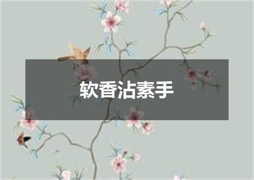 软香沾素手