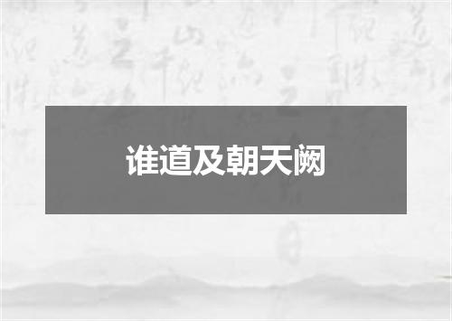 谁道及朝天阙