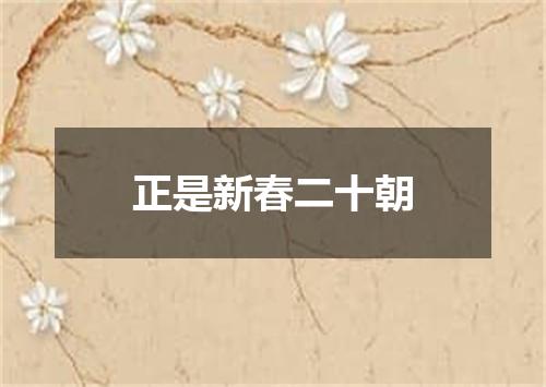 正是新春二十朝