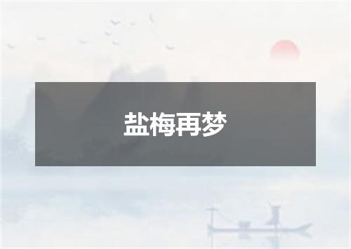 盐梅再梦