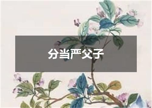 分当严父子