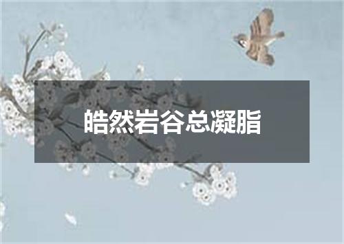 皓然岩谷总凝脂