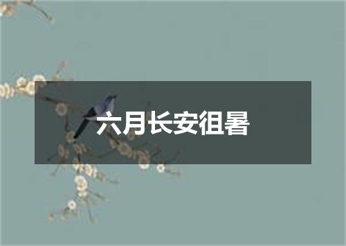 六月长安徂暑