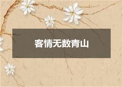 客情无数青山