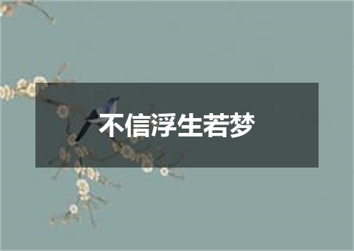 不信浮生若梦