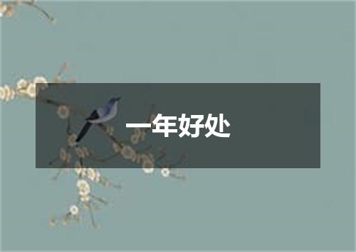 一年好处