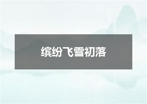 缤纷飞雪初落