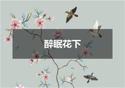 醉眠花下
