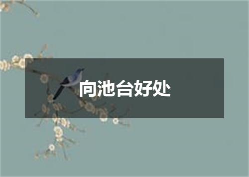 向池台好处