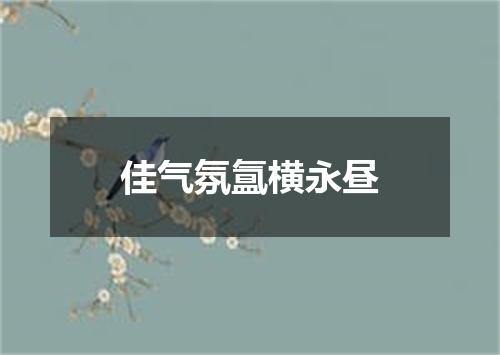 佳气氛氲横永昼