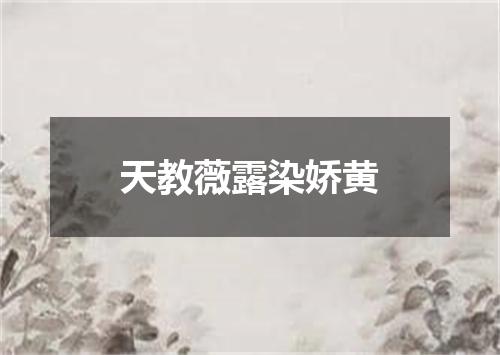 天教薇露染娇黄