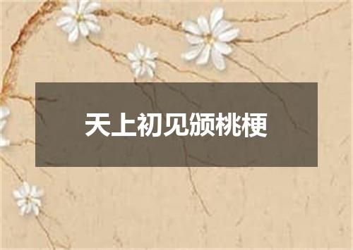 天上初见颁桃梗