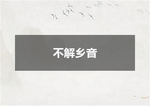 不解乡音