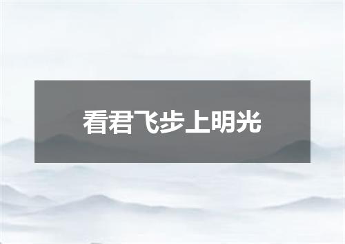 看君飞步上明光