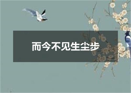而今不见生尘步