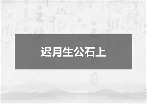 迟月生公石上