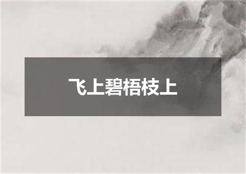 飞上碧梧枝上