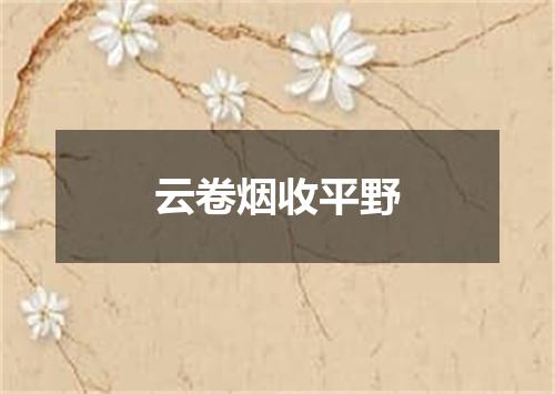 云卷烟收平野