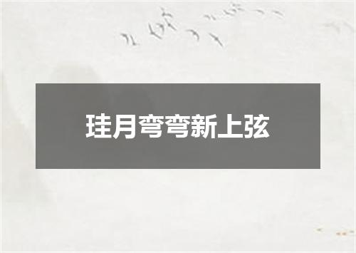 珪月弯弯新上弦