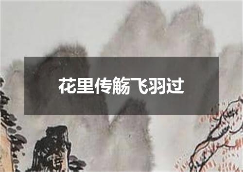 花里传觞飞羽过
