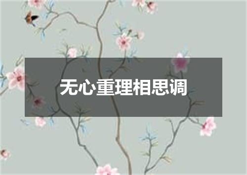 无心重理相思调