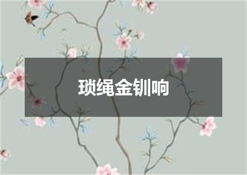 琐绳金钏响