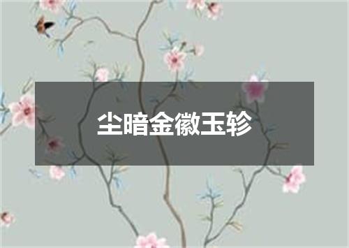 尘暗金徽玉轸