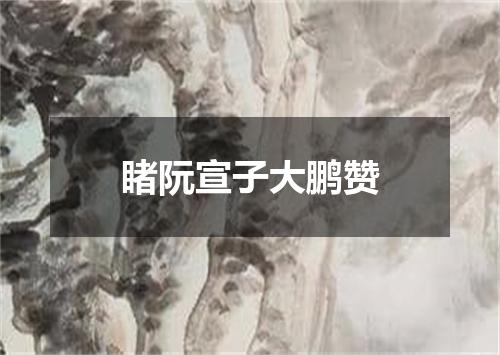 睹阮宣子大鹏赞