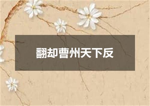 翻却曹州天下反