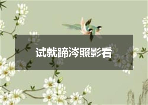 试就蹄涔照影看