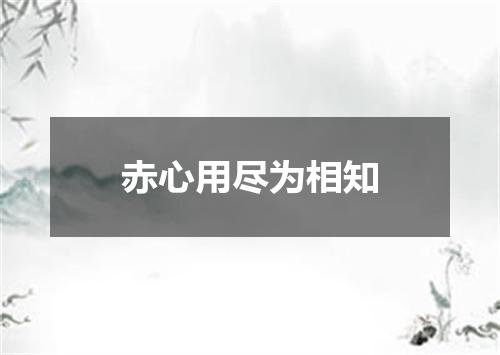 赤心用尽为相知