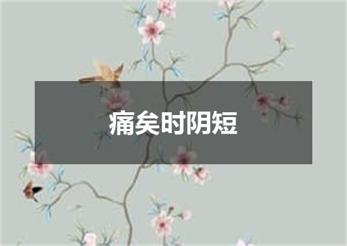 痛矣时阴短