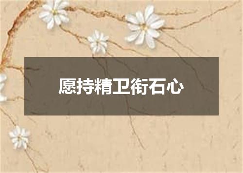 愿持精卫衔石心