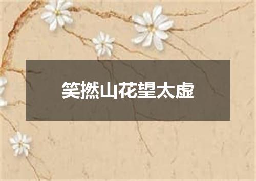 笑撚山花望太虚