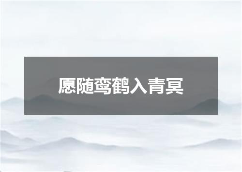 愿随鸾鹤入青冥