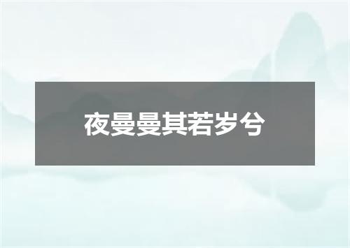 夜曼曼其若岁兮