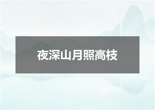 夜深山月照高枝