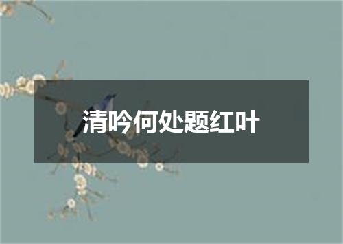 清吟何处题红叶