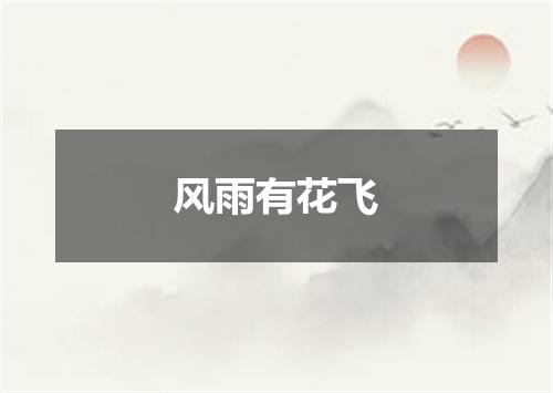 风雨有花飞