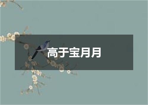 高于宝月月