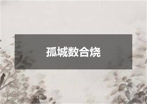 孤城数合烧