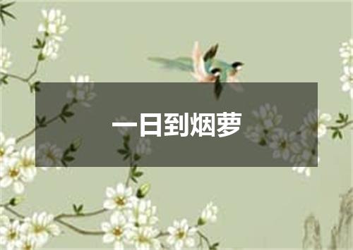 一日到烟萝