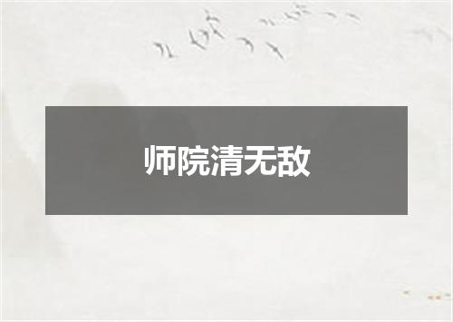 师院清无敌