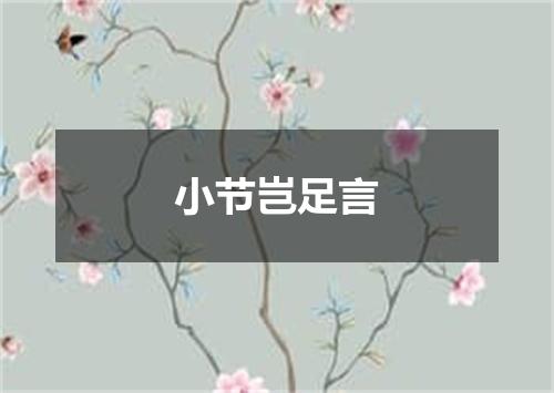 小节岂足言