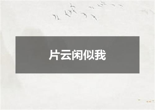 片云闲似我
