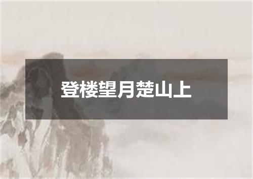 登楼望月楚山上