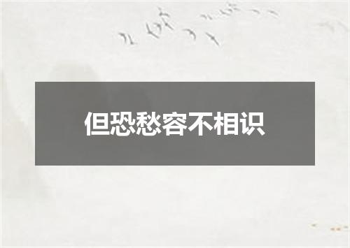但恐愁容不相识