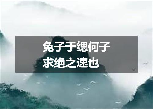 免子于缌何子求绝之速也