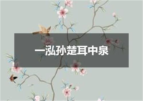 一泓孙楚耳中泉